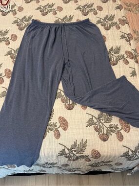 Jockey Women's Indigo Blue Track Jogger Pants